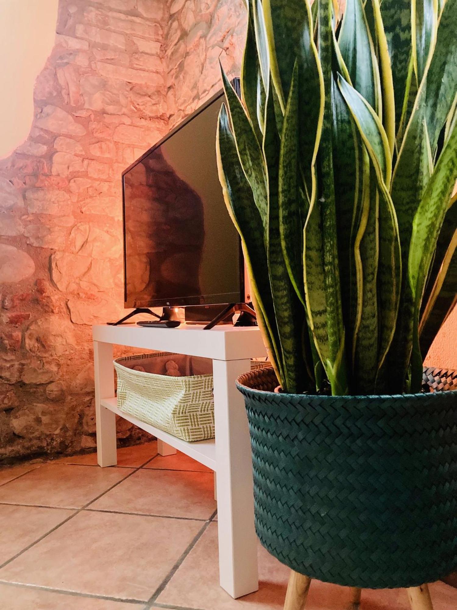 Apartament Residenza Borgo 9 Collecchio Zewnętrze zdjęcie